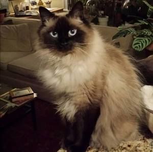 Meet your Posher, Robert